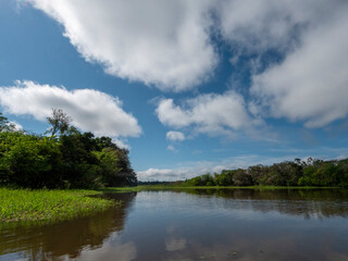 Amazon river landscape.