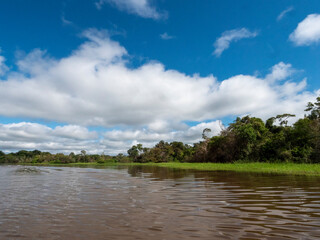 Amazon river landscape.