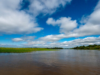 Amazon river landscape.