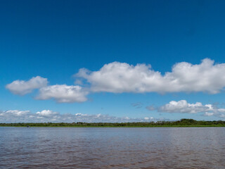 Amazon river landscape.