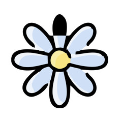 flower isolated on white