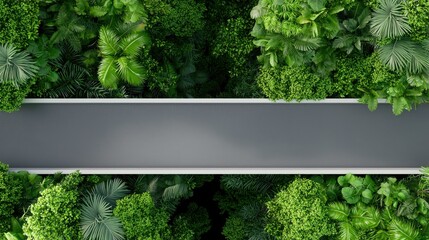 Eco-friendly pathways for sustainability in urban jungle green cityscape aerial view nature balance