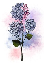 Flower blue pink background artwork