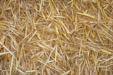 Natural woven straw texture showcasing eco-friendly design and organic materials