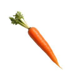 a carrot with green leaves