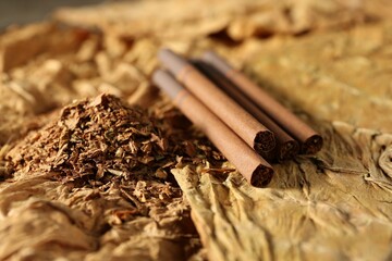 Cigarettes and dried tobacco leaves as background, closeup