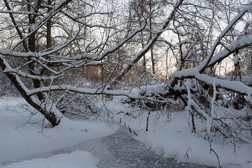 Landscape from snow covered trees with a frozen stream. Winter forest with small river for publication, design, poster, calendar, post, screensaver, wallpaper, card, cover. High quality photo