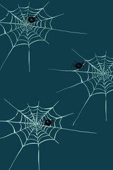 spider web in the dark