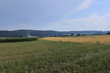 Blick auf die Naturlandschaft von Gottmadingen in BAden-Württemberg