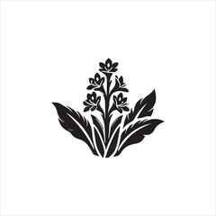 illustration of a flower