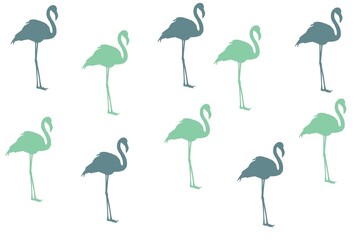 set of flamingos