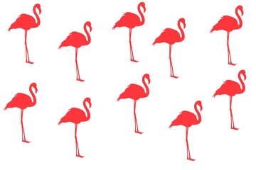 set of flamingo