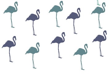 set of flamingo
