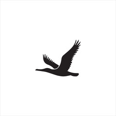 illustration of an bird