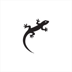 lizard on a white background