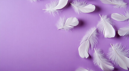 Obraz premium Photograph of white feathers on a purple background