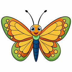 butterfly illustration