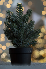 Christmas tree in a pot on a blurred background with bokeh.