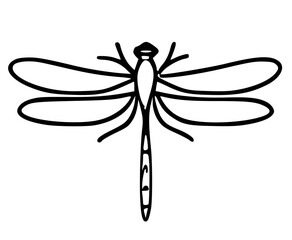 dragonfly illustration