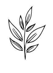 black and white leaves