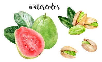 Hand-Painted Watercolor Pistachio and Guava Illustration Isolated on White