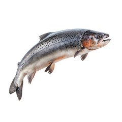 Obraz premium Leaping Rainbow Trout: A vibrant, detailed close-up of a leaping rainbow trout, showcasing its silvery scales, vibrant colors, and powerful form. Perfect for culinary, nature.