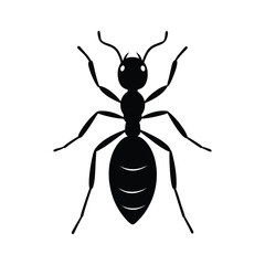black ant in white background.eps