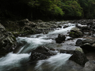 渓谷を流れる水