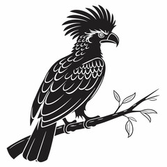 Umbrellabird vector silhouette black design white background
