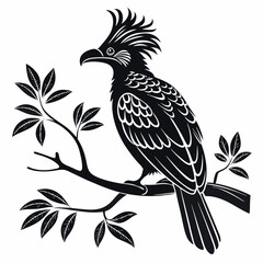 Obraz premium Umbrellabird vector silhouette black design white background