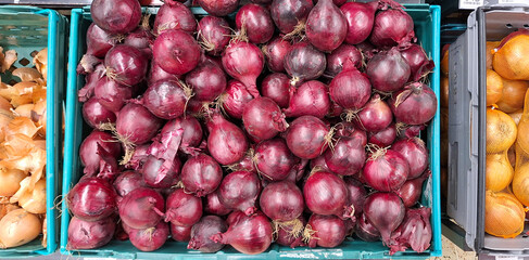 Assortment of Fresh Red and Yellow Onions in Grocery Store 