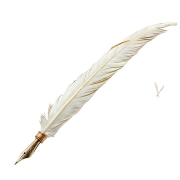 Fototapeta Elegant Quill Pen: A pristine white feather quill pen with gold accents, poised for writing, evokes a sense of classic elegance and timeless artistry. 