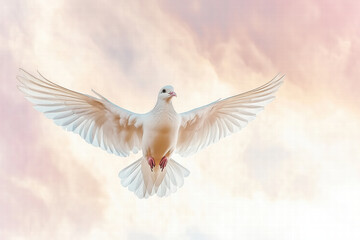 Obraz premium graceful white bird soaring against pastel sky backdrop. Generative Ai