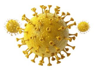 Microscopic 3D render of coronavirus transparent background.PNG