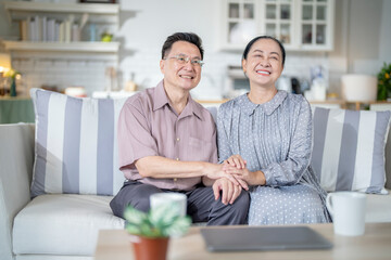 A cheerful elderly couple sitting together on a cozy sofa, holding hands and smiling warmly. They enjoy their peaceful moments together, embodying love, companionship, and happiness in their home.