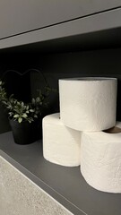 Vertical photo of toilet paper rolls neatly arranged on a shelf in the bathroom. Close-up view highlights hygiene and everyday essentials.