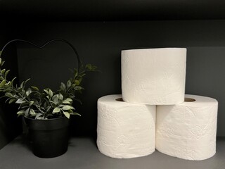 Horizontal photo of three rolls of toilet paper and an artificial plant in a pot on a bathroom shelf against a dark background. Highlights hygiene and minimalist bathroom decor