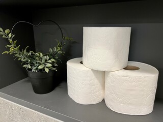 Rolls of toilet paper on a bathroom shelf with an ornamental plant nearby. Dark background highlights hygiene essentials and minimalist decor. Suitable for themes of cleanliness and interior design