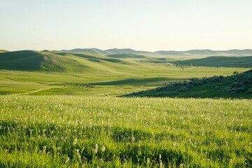 Naklejka premium Green pasture.