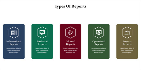 types of report. Infographic template with icons and description placeholder
