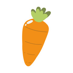 Carrot illustration