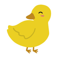 Cute yellow little duck illustration