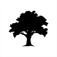 "Majestic Oak Tree Silhouette at Sunset, vector image