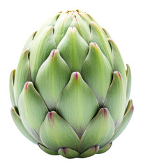 PNG Artichoke plant food