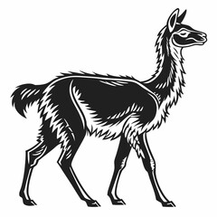 Vicuna vector silhouette black design white background