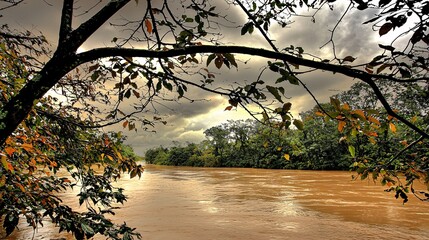 tree branches intertwined with dark clouds and a distant view of a flood, demonstrating the relationship between climate events and cocoa supply challenges. [Cocoa prices are high]:[Production 