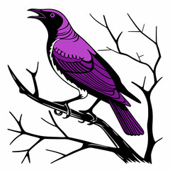 Violet-backed Starling vector silhouette black design white background