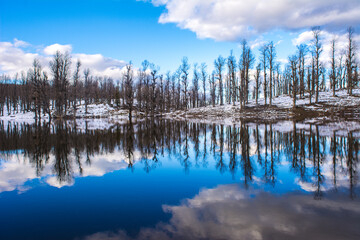 Snow lake, Beautiful reflection of snow, mountain, forest, blue sky and clouds on a lake in winter, Panoramic landscape of snow and lake in the mountains of North Africa Jijel Algeria, Snow mountains.