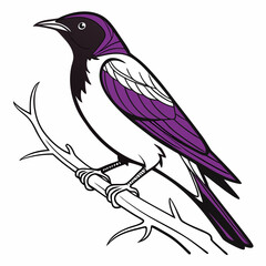 Violet-backed Starling vector silhouette black design white background