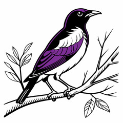 Violet-backed Starling vector silhouette black design white background